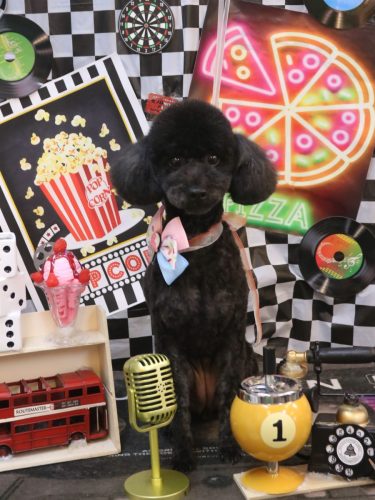 20260423もずくちゃん