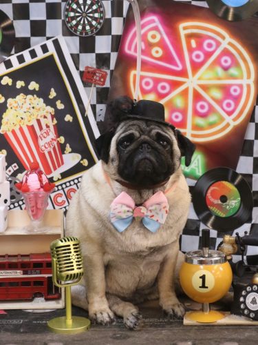 20260424フウちゃん