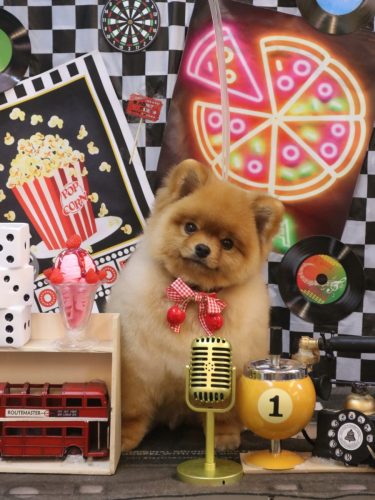 20260424リアンちゃん