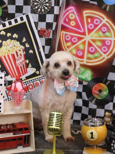 20260425ペカくん