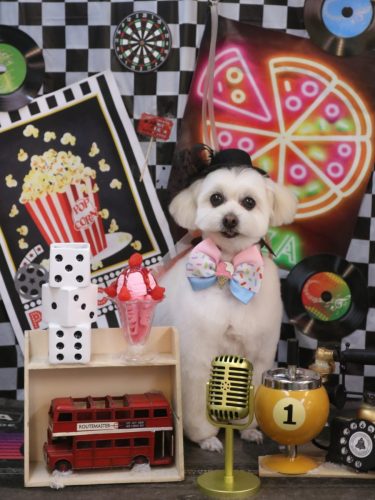 20260425うみちゃん