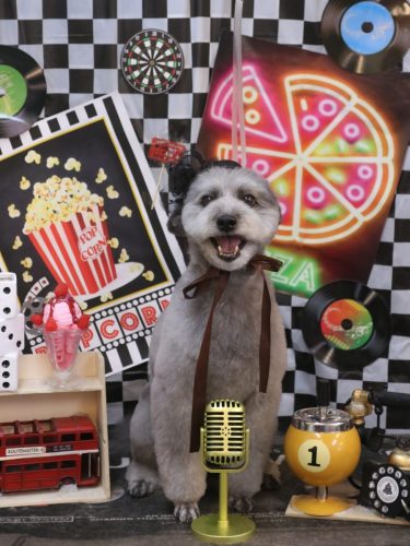 20260425シルヴァくん