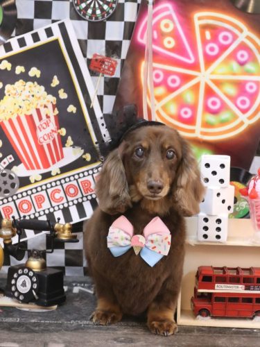 20260425ジョナくん