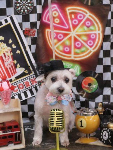 20260425ヒメちゃん