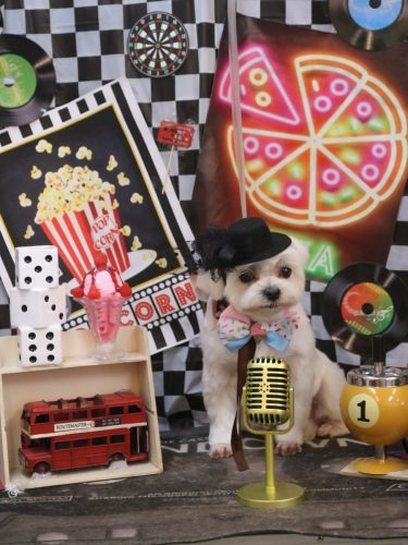 20260425マルちゃん