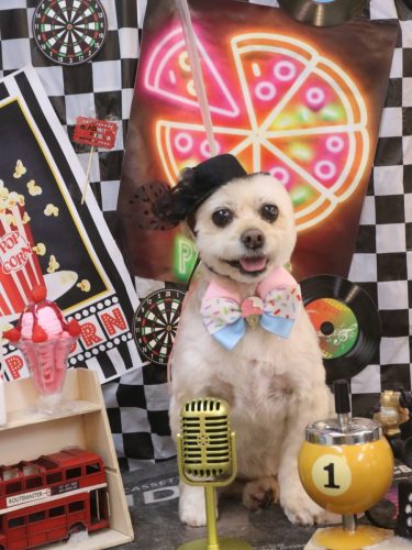 20260425ポンタくん