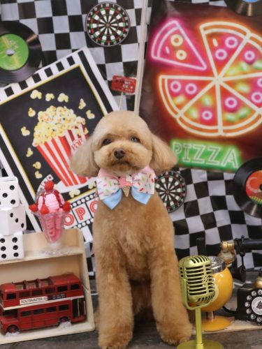 20260426ララちゃん