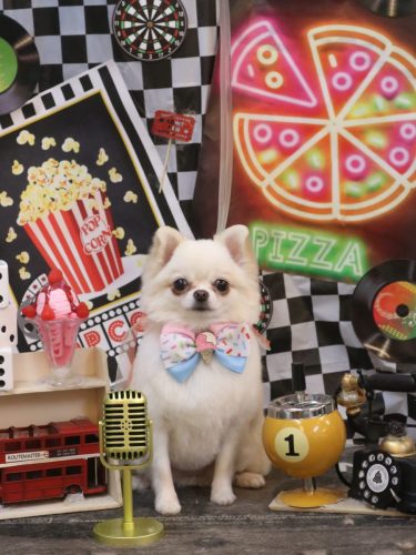 20260426プジョルちゃん