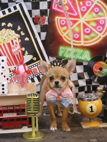 20260426むぎちゃん