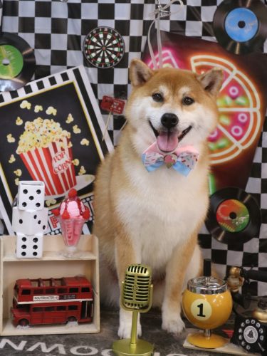 20260428マロンちゃん