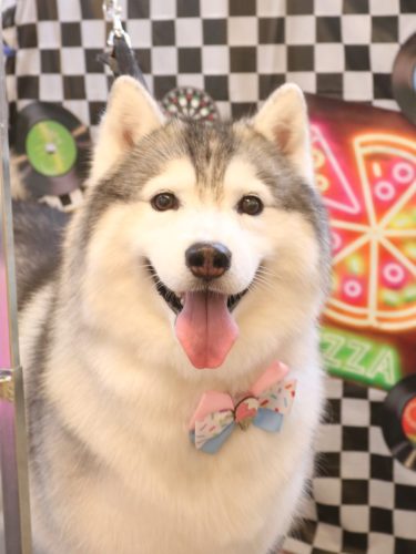 20260428ひかりちゃん