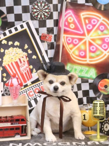 20260428ポロくん