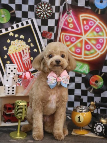 20260428レオくん