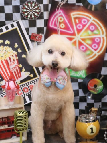 20260428ジョナくん