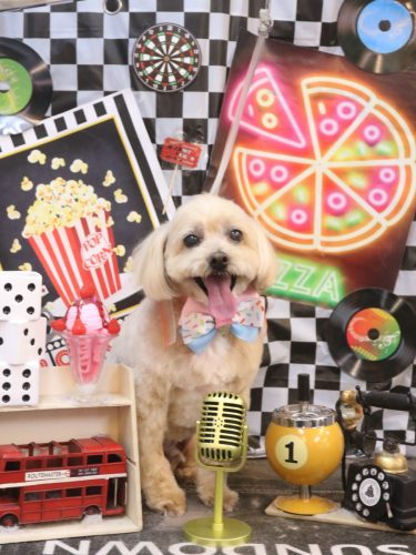 20260428ムックくん