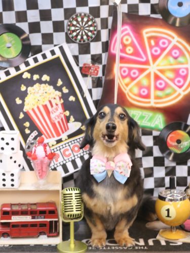 20260428キキくん