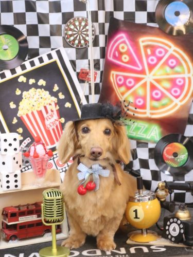 20260428ココくん