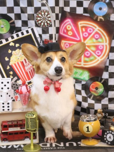 20260428リンちゃん