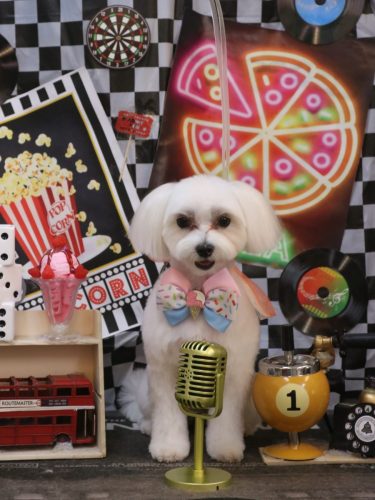 20260428ユキミちゃん