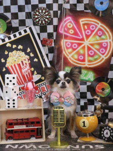 20260428ひめちゃん