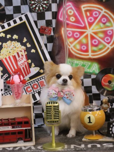 20260428りくくん