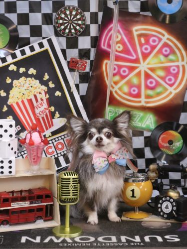 20260428空太くん