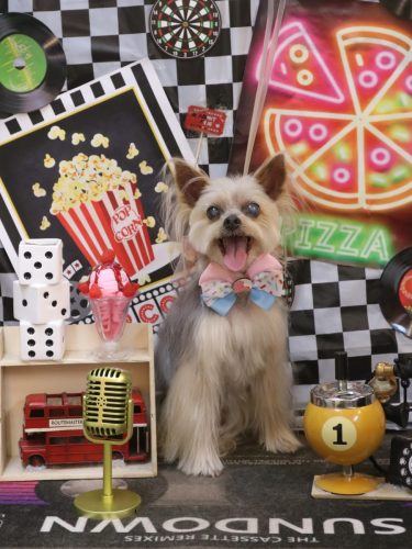 20260428ココちゃん