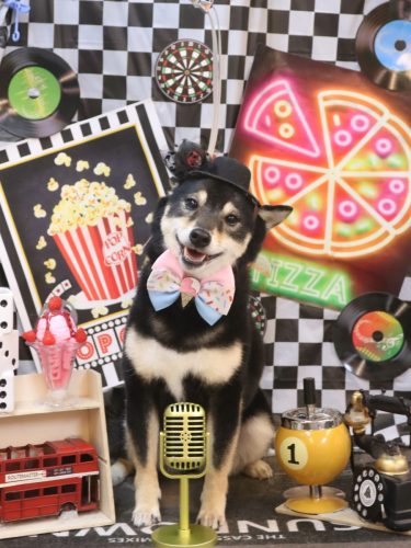 20260429小町ちゃん