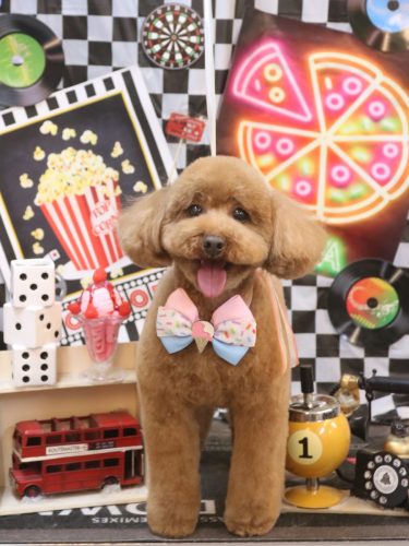 20260429ルアナちゃん