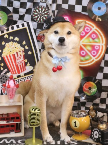 20260429シュウくん