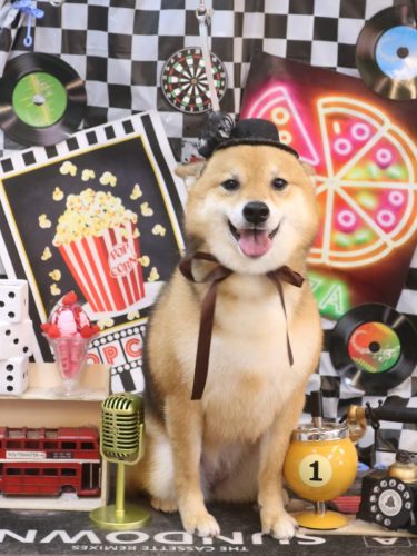 20260429リンちゃん