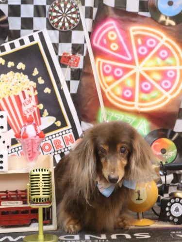 20260429ココアちゃん