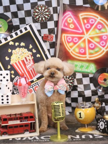 20260429そらくん