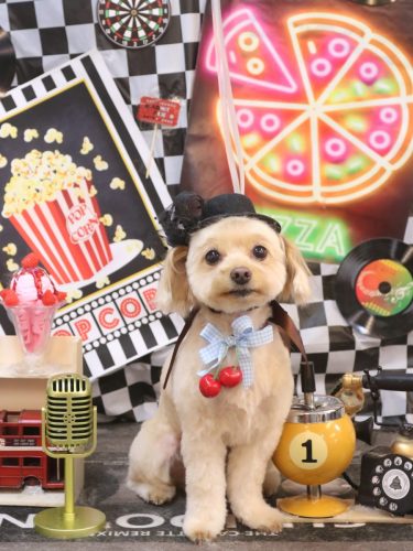 20260429ちゃいろくん