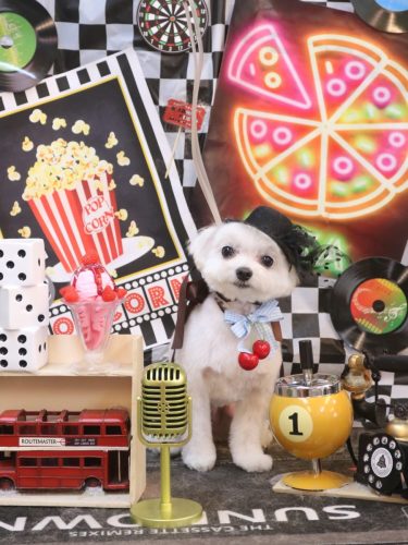 20260429みるくくん