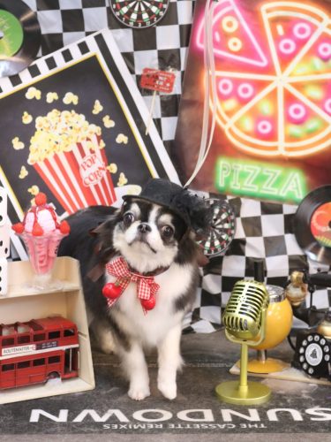 20260429はなまるちゃん