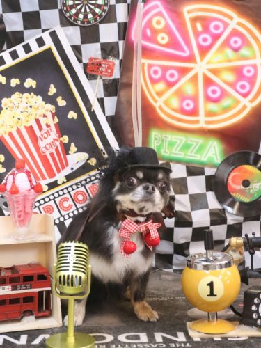 20260429らんまるちゃん