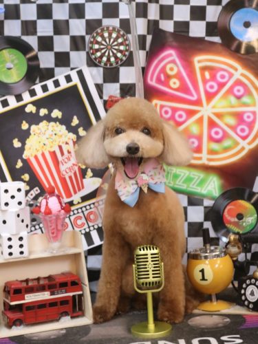 20260429バディくん