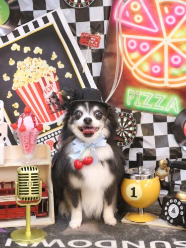 2026042パピーくん