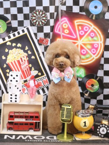 20260430ろこちゃん