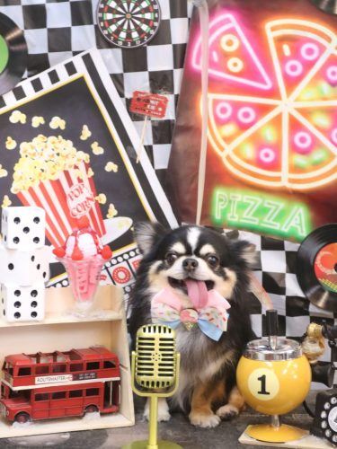 20260430ごまくん