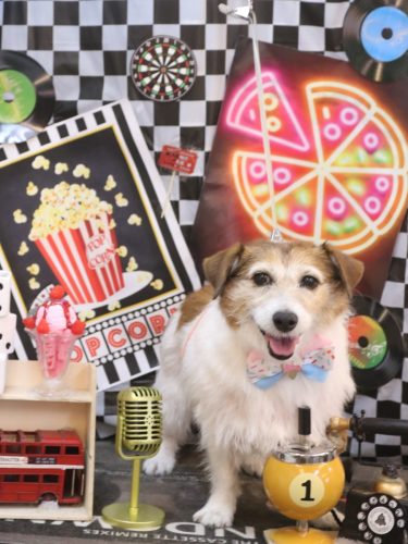 20260430こはるちゃん