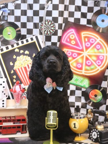 20260430天ちゃん