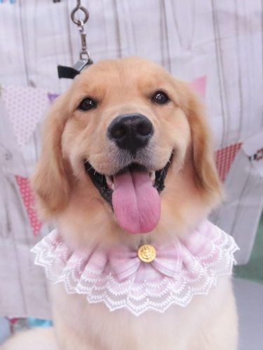 20260917ノアちゃん
