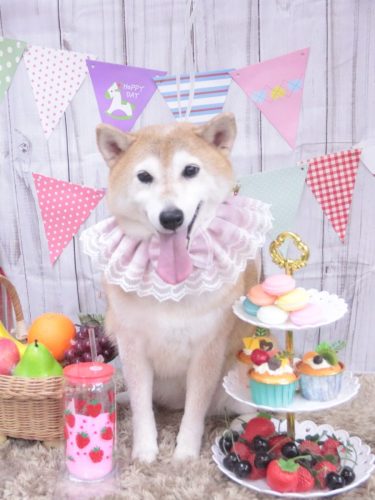 20260925こはるちゃん