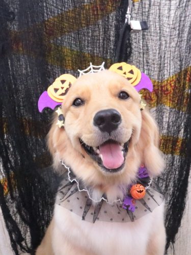 20261009ノアちゃん