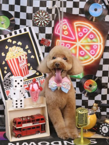 20260415レオくん