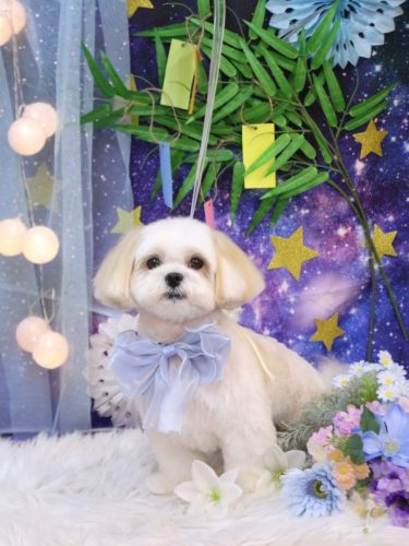 20290719ふくくん