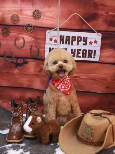 2260118チャッピーくん