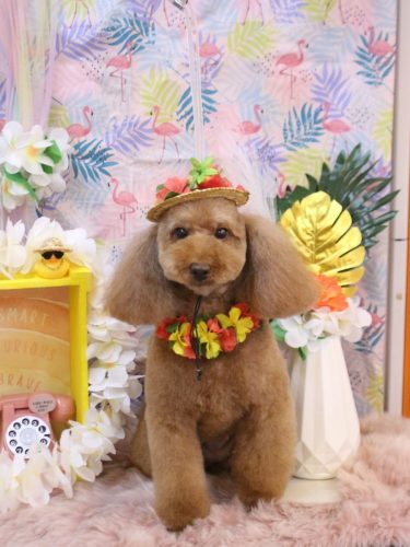 20250801まろんくん